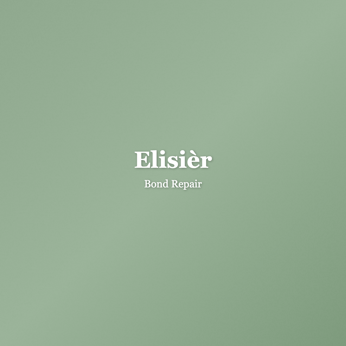 Elisièr